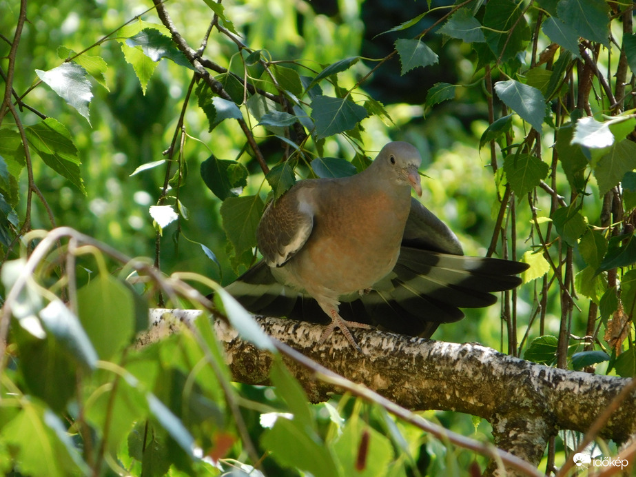 Nyújtózom egy jót