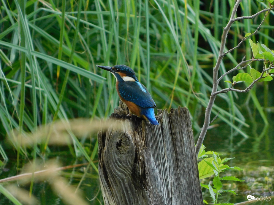 Innen is megpróbálom