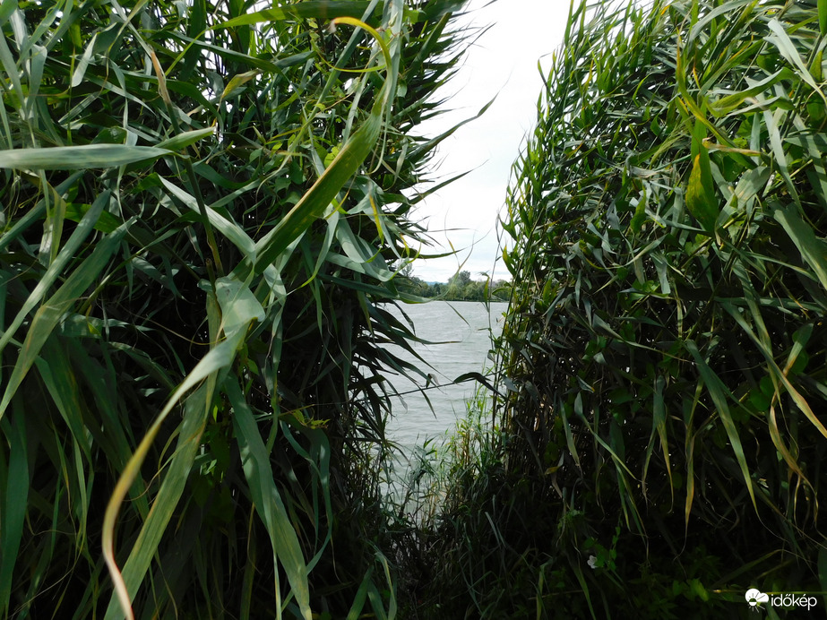 ...majd jobbra döntötte a nádat