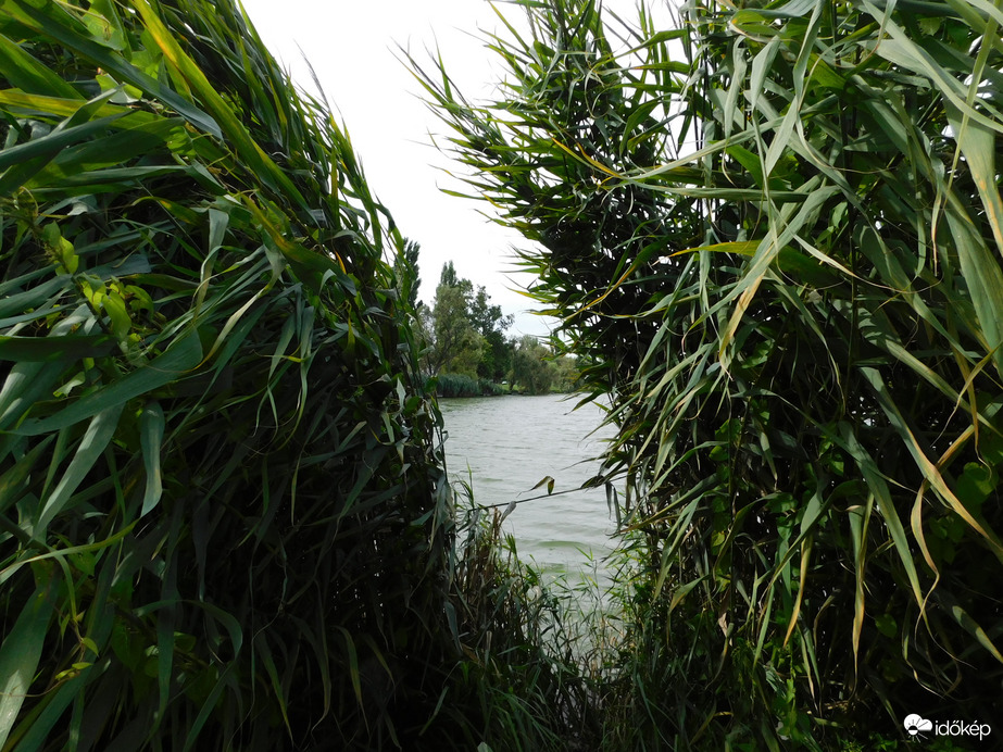 A viharos szél balra...