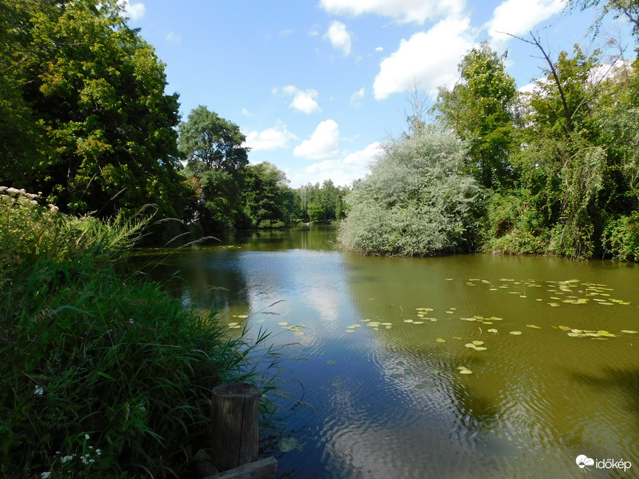 A Horgásztó a stégről nézve