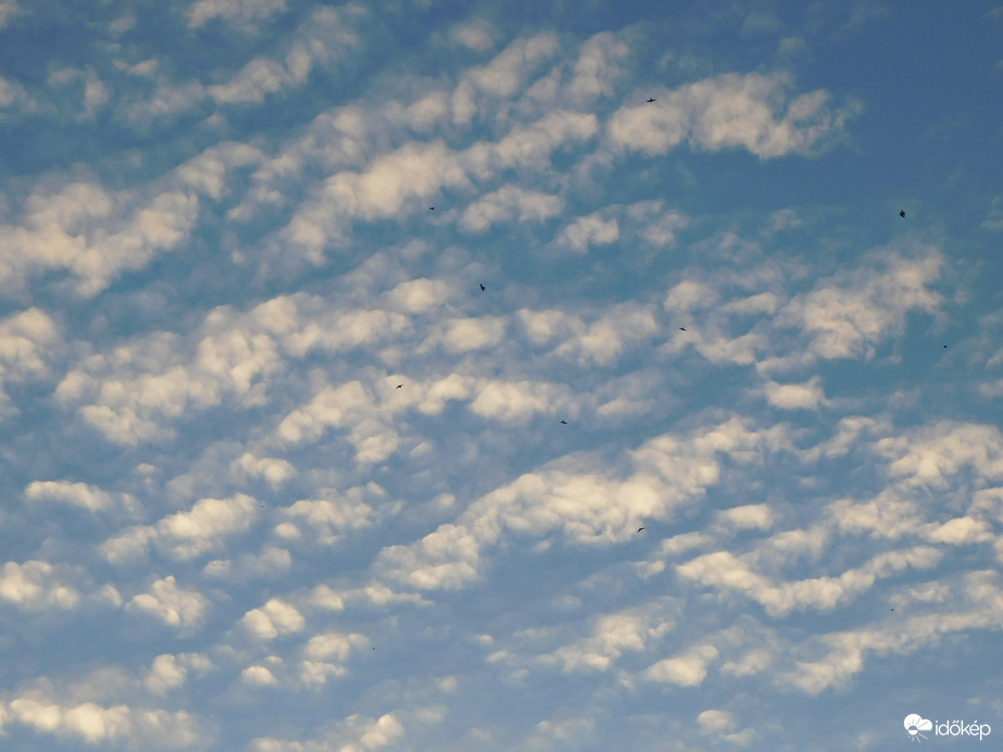 Felhők és fecskék