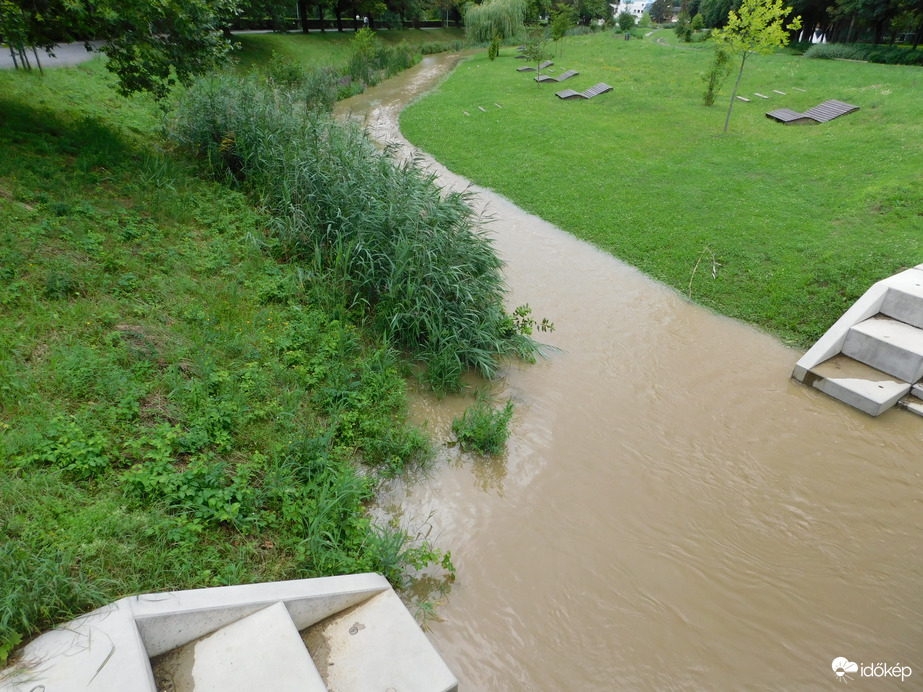 Már megint kilépett az Arany-patak a medréből