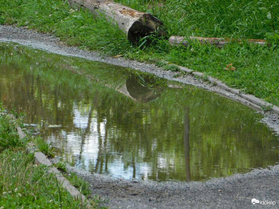 Víztócsa tükörként