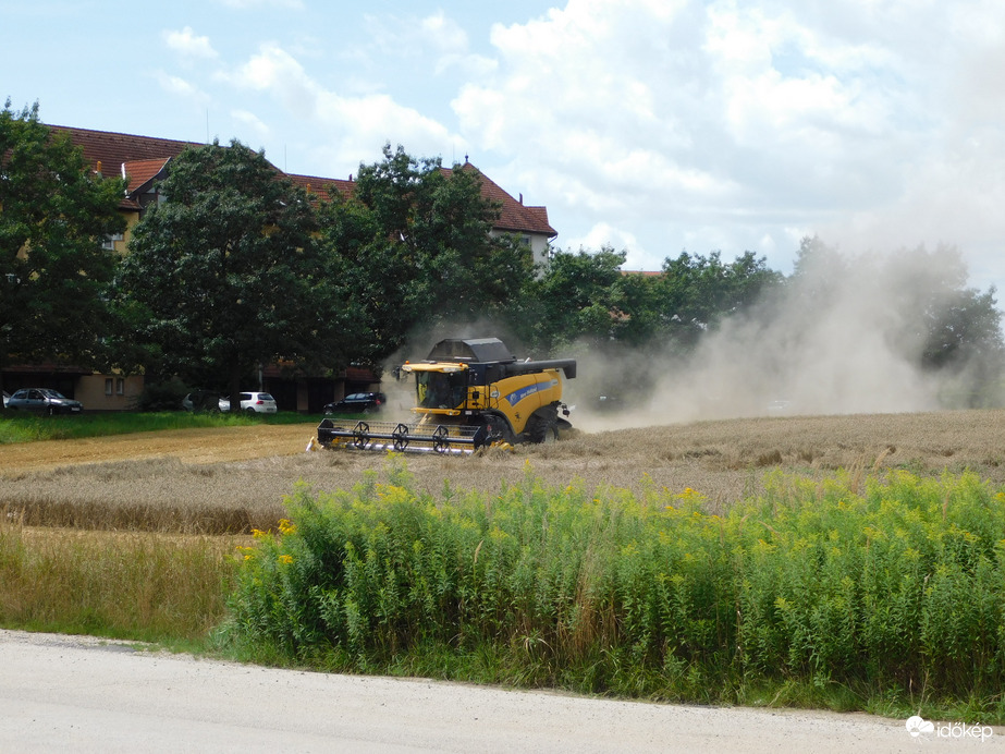 Aratás a lakótelepünk szélén