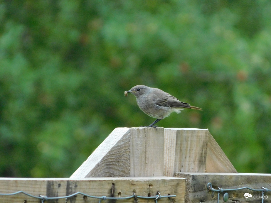 Egyedül is sikerült!