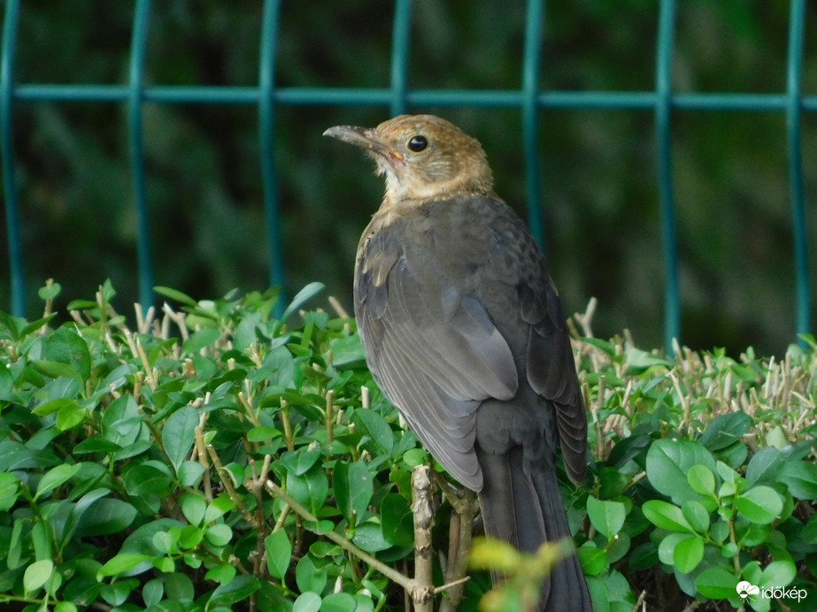 Fotózol? Akkor figyelek!