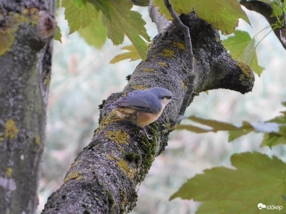 Régen találkoztam vele