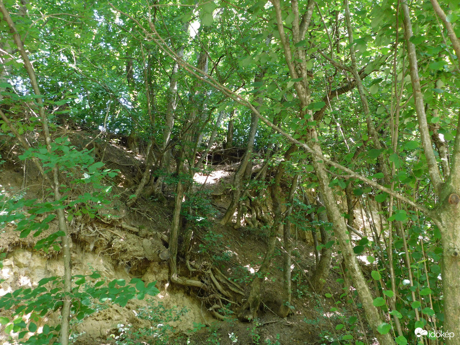 Alig tudunk megkapaszkodni