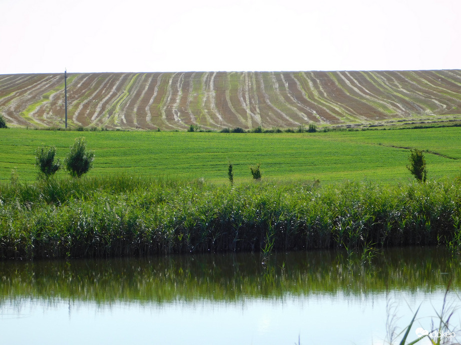 Érdekes színfolt a tájban