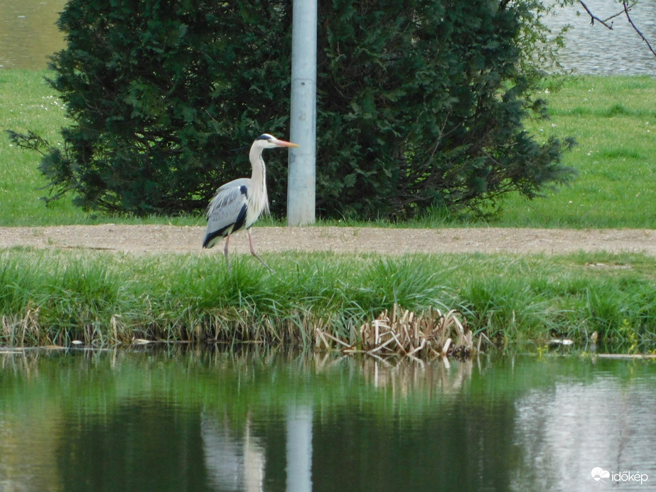 A túlparton