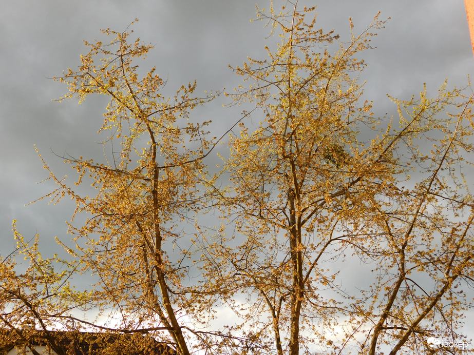 Szeszélyes április 1.