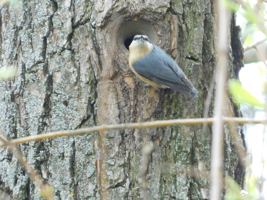 Körülnézek, hátha figyelnek!