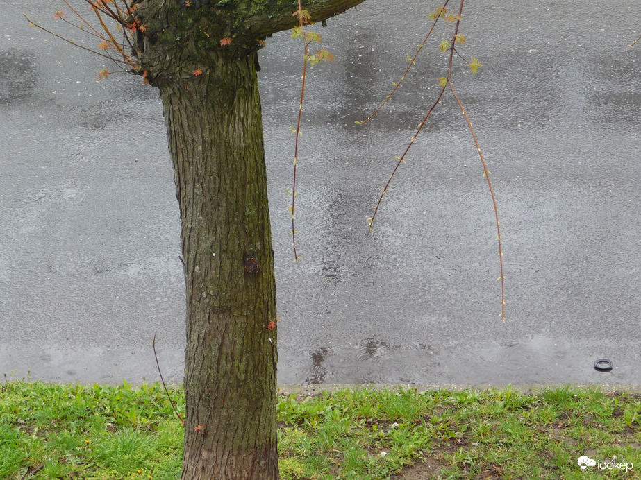 Szombathely,2023. 04. 13.