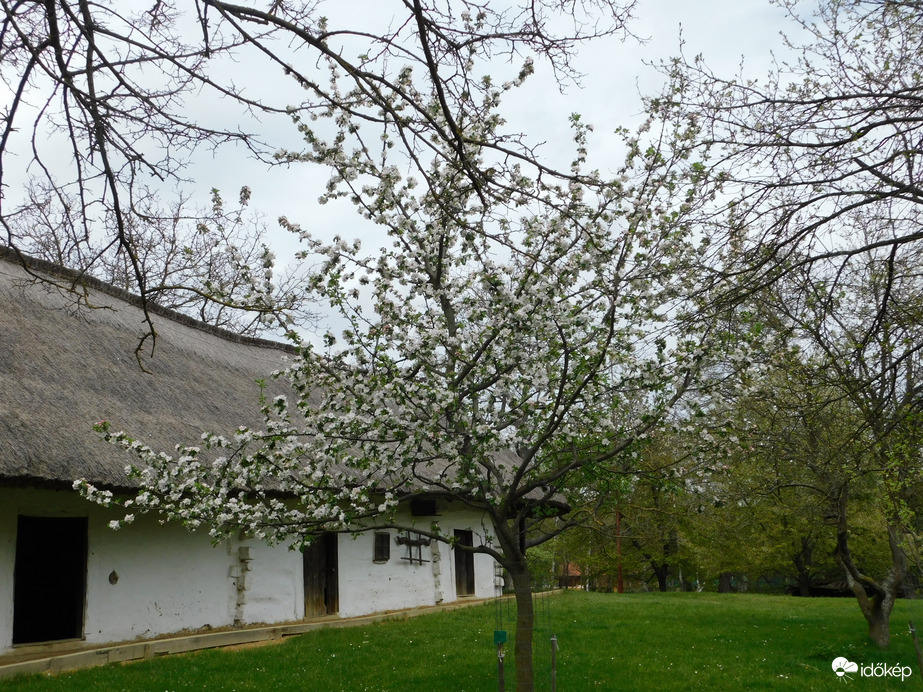 Tavasz a Falumúzeumban
