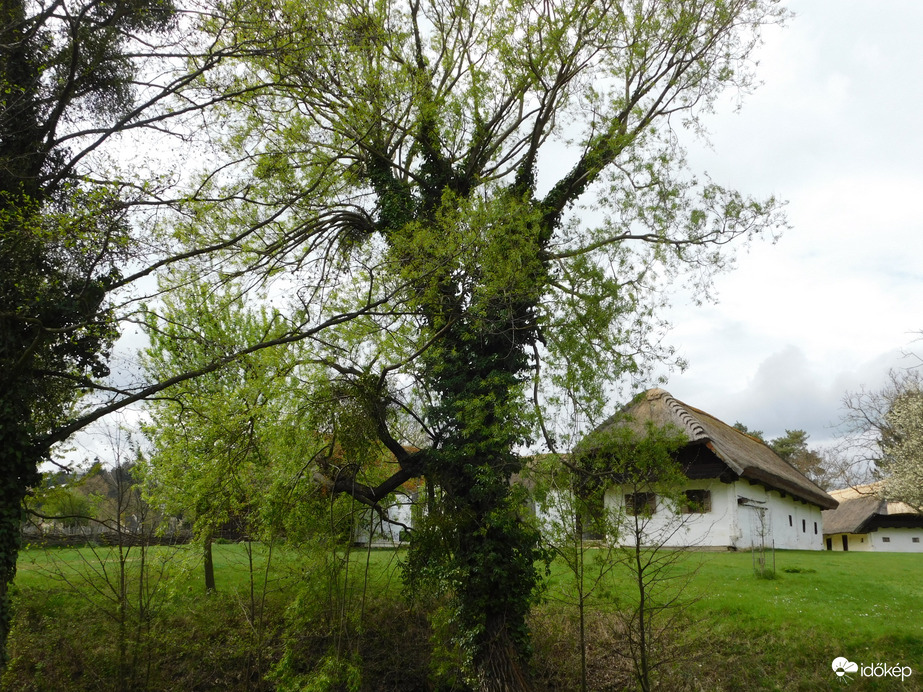 Tavasz a Falumúzeumban