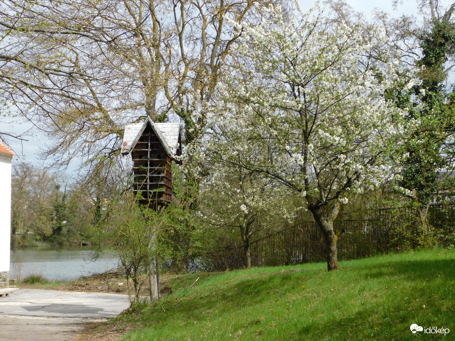 Tavasz a Falumúzeumban