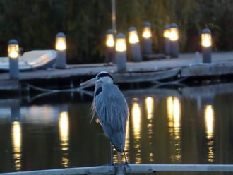 Este a kedvenc helyemen