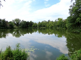 A Horgásztó nyugalmas