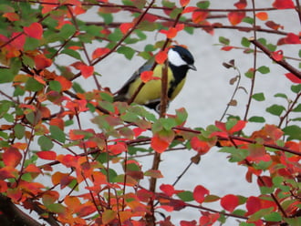 Megéheztem! Reggelit keresek!