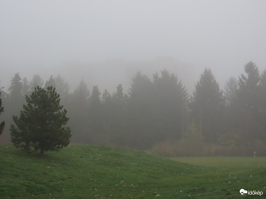 Ma a köd volt az úr