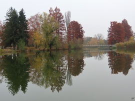 Mozdulatlan víztükör