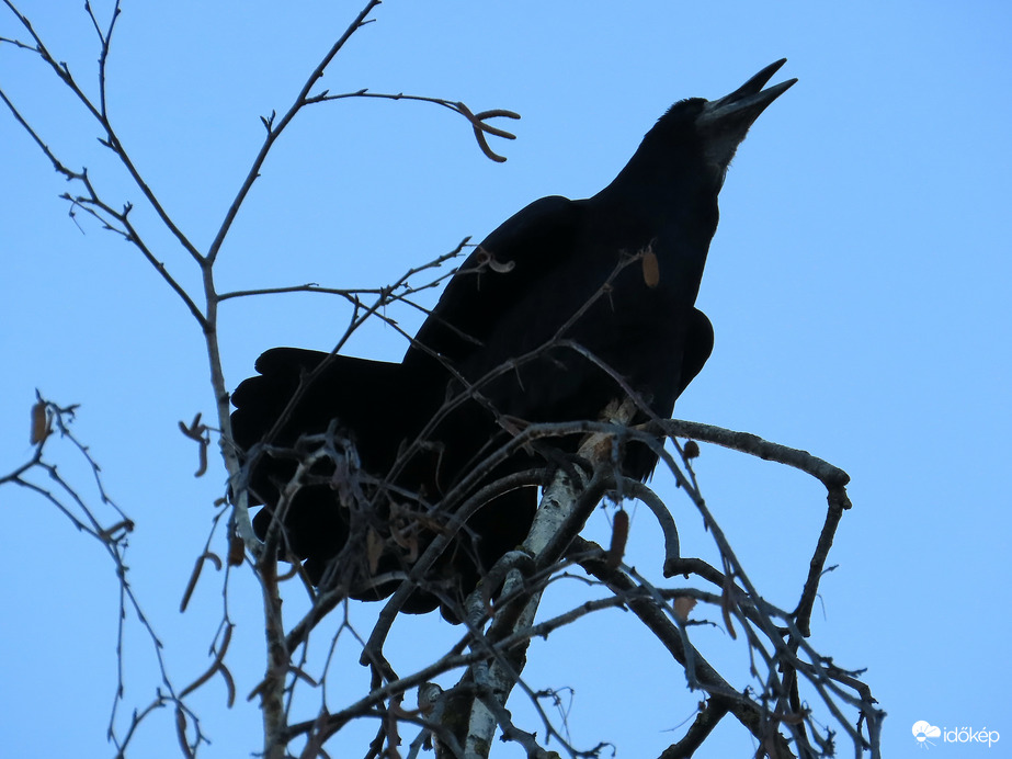 Közhírré tétetik! Újra kék az ég!