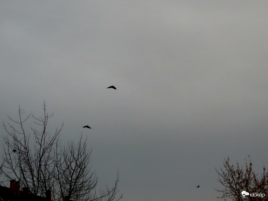Már a szürkeség uralkodik és esik az eső