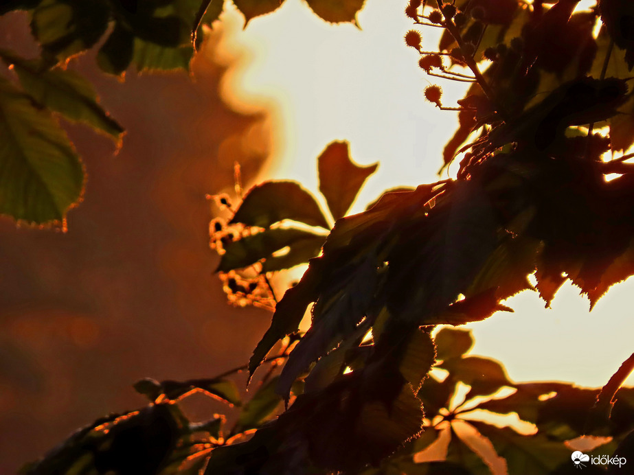 Áttörő fények 1.