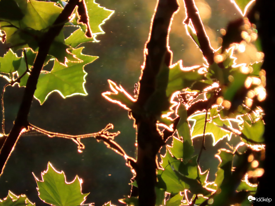 Áttörő fények 2.