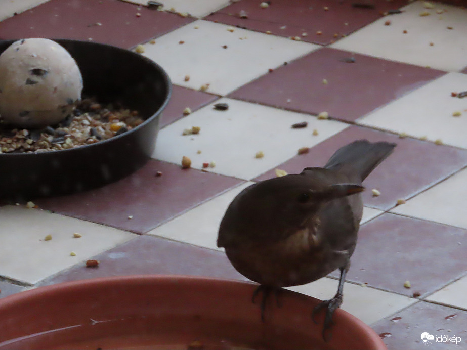 "Csatateret" csináltunk!