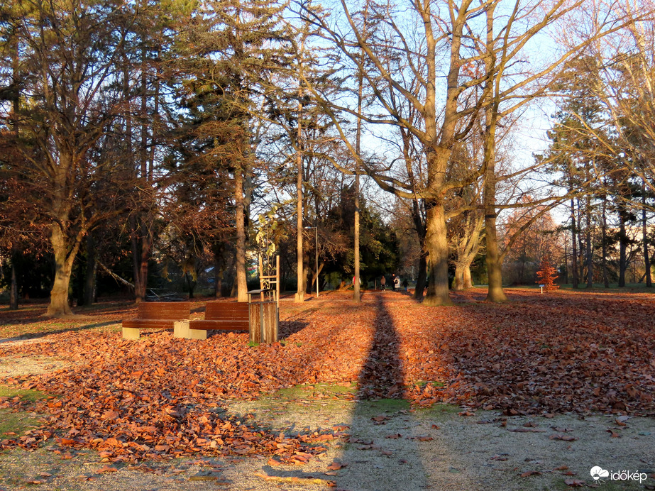 Napfényes vasárnap délután 4.