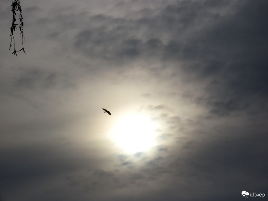 Sejtelmes délelőtti fények