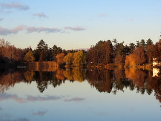 Lemenő Nap fényében