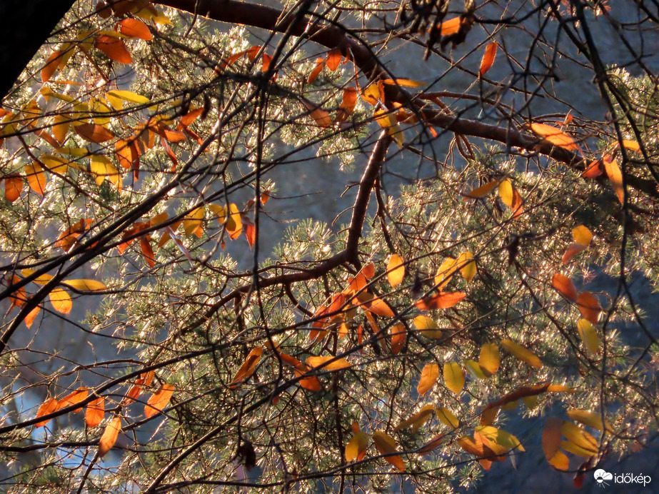 Lemenő Nap fényében
