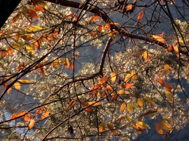 Lemenő Nap fényében