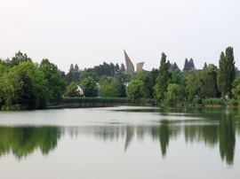 Nyugalom a tavon