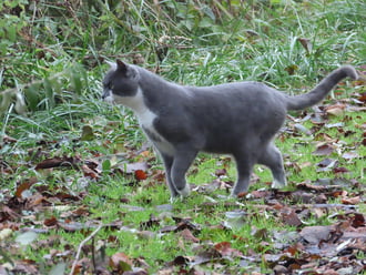 Vadászni indulok a tópartra