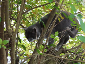 Hogy jutok le innen?