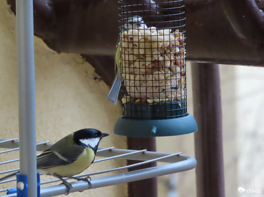 Türelmesen várok a soromra