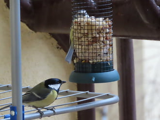 Türelmesen várok a soromra