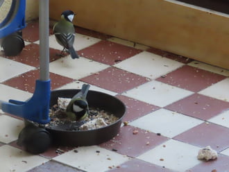 Megint csatateret csináltunk!