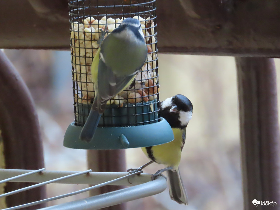 Itthon is nagy volt a forgalom