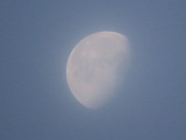 Ködfátyol alatt a Hold