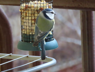 Folyamatosan jönnek