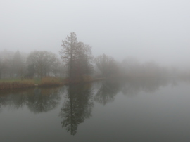 Ködbe vesző tópart