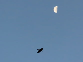 Derült reggelre ébredtünk