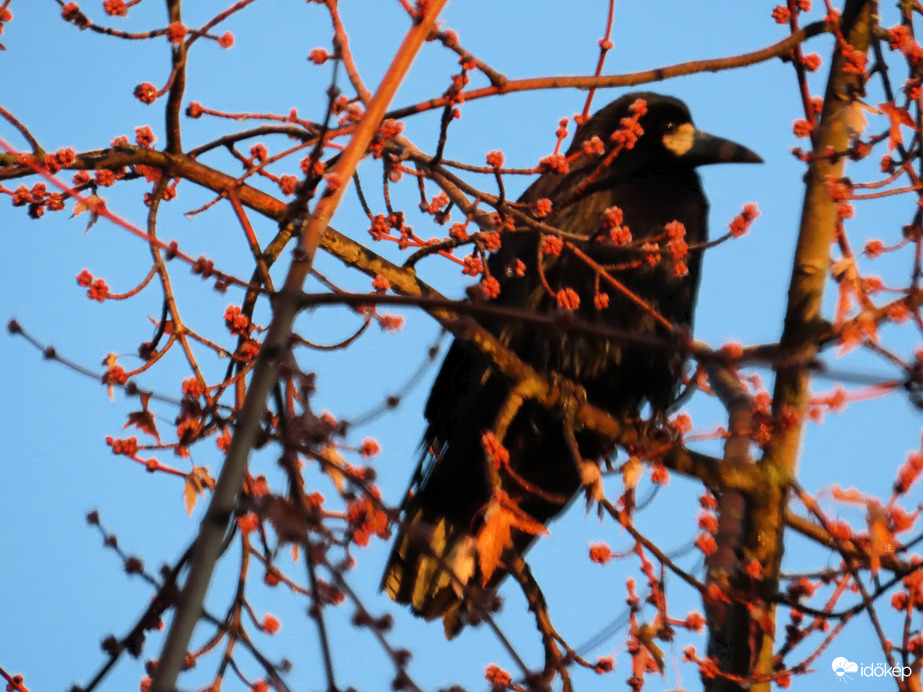 Itt már süt rám a Nap