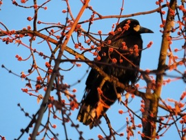 Itt már süt rám a Nap