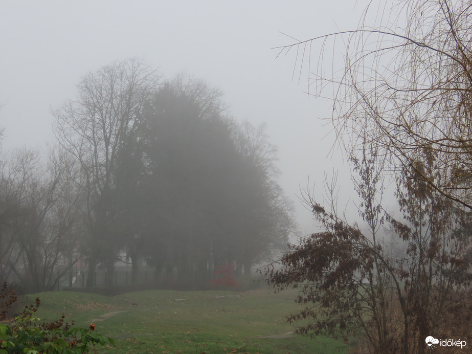 Hirtelen ereszkedett le a köd 2.